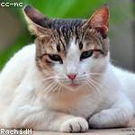 Wyman Cruickshank Profile Picture