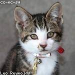 Leann Nienow Profile Picture