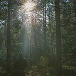 Forest Wiza Profile Picture