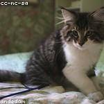 Theron Hessel Profile Picture