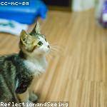 Tobin Klocko Profile Picture