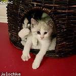 Mckayla Jacobs Profile Picture