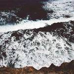 Joy Rutherford Profile Picture