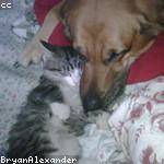 Vaughn Klocko Profile Picture