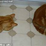 Alana Abernathy Profile Picture