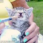 Octavia Schmitt Profile Picture