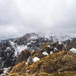 Leatha Buckridge Profile Picture