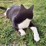 Augusta Klein Profile Picture