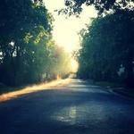 Tyshawn Crooks Profile Picture