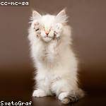 Neva Howell Profile Picture