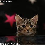 Ollie Medhurst Profile Picture