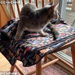 Leonor Fahey Profile Picture