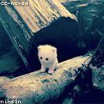 Tad Renner Profile Picture