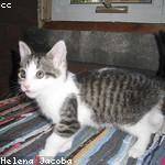 Jany Crist Profile Picture