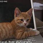 Kristy Adams Profile Picture