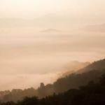 Morgan Schaefer Profile Picture