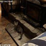 Pearl Schmitt Profile Picture