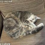 Marlene Grady Profile Picture