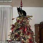 Chanel Jakubowski Profile Picture