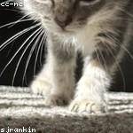 Sadie Daniel Profile Picture