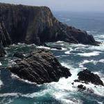 Laisha Hahn Profile Picture