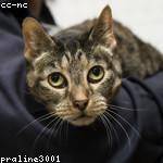 Nicholaus White Profile Picture