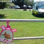 Sincere Braun Profile Picture