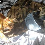 Ceasar Durgan Profile Picture