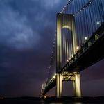 Donato Raynor Profile Picture