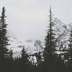 Stephany Runolfsdottir Profile Picture