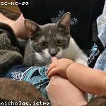 Mason Schaden Profile Picture