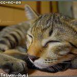 Griffin Koch Profile Picture