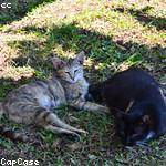 Cindy Gaylord Profile Picture