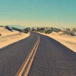 Stephany Romaguera Profile Picture