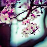 Luz Daugherty Profile Picture