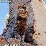 Lauretta Prohaska Profile Picture