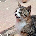 Trevion Rodriguez Profile Picture