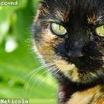 Sheila Ward Profile Picture