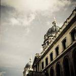 Lue Pfannerstill Profile Picture