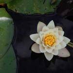 Hulda Becker Profile Picture