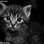 Jakayla Botsford Profile Picture