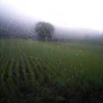 Demetris Nicolas Profile Picture