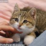 Giovanni Schultz Profile Picture