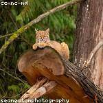 Melissa Koepp Profile Picture