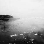 Elisabeth Waters Profile Picture