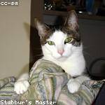 Fausto Parker Profile Picture