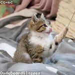 Jedediah Klein Profile Picture