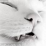 Annabel Senger Profile Picture