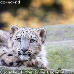 Scarlett Corwin Profile Picture