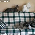 Mariana Block Profile Picture